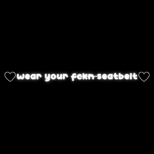 wear your fckn seatbelt decal